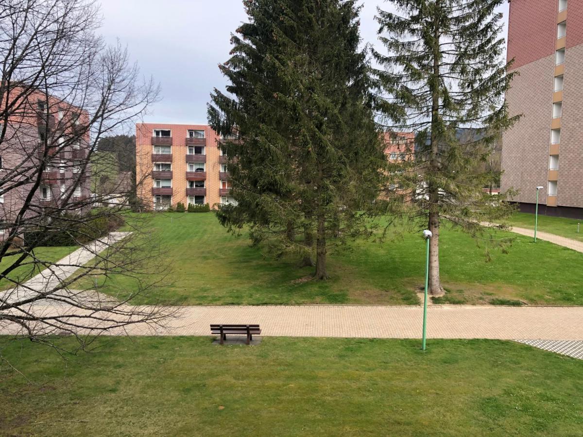 Hans Im Glueck Altenau  Esterno foto